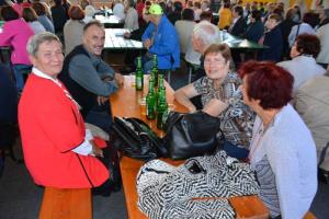 Srečanje upokojencev in drugih starejših iz občin Grosuplje, Ivančna Gorica in Dobrepolje 2017 3